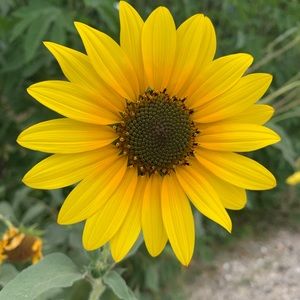 Meet your Posher, Jenny